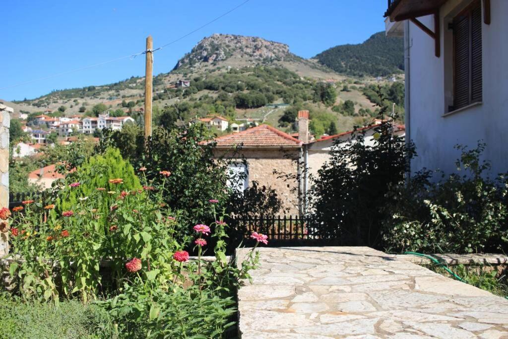 Apartment Velia Kalavryta