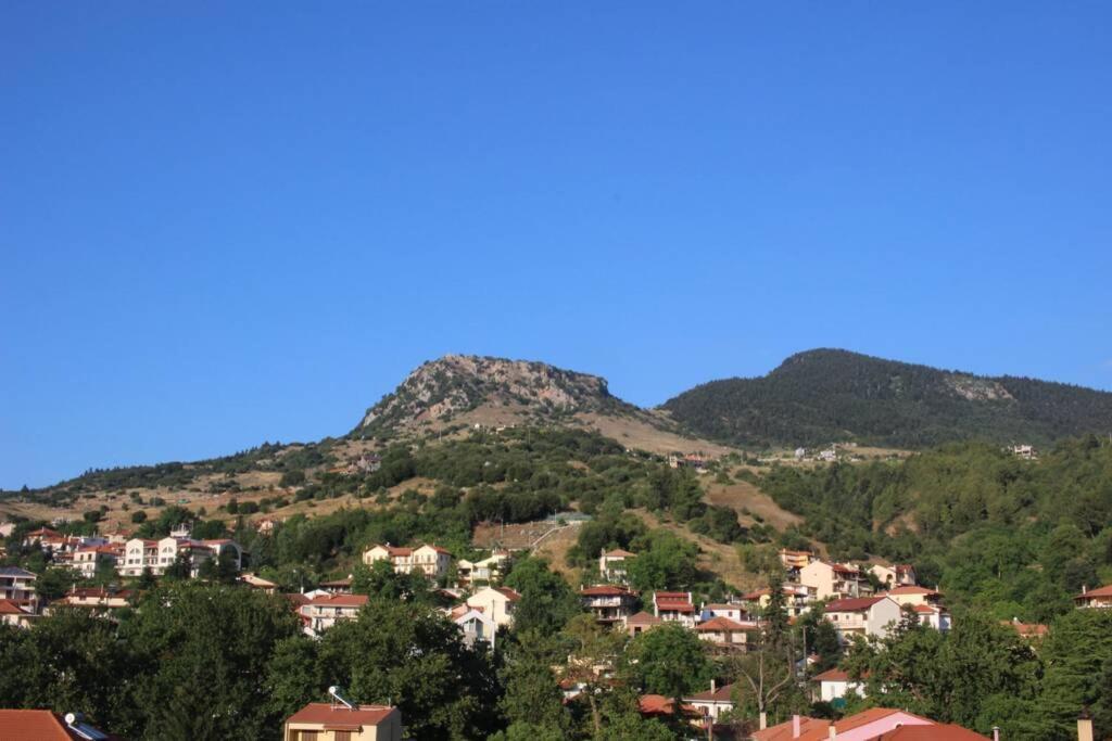 Apartment Velia Kalavryta